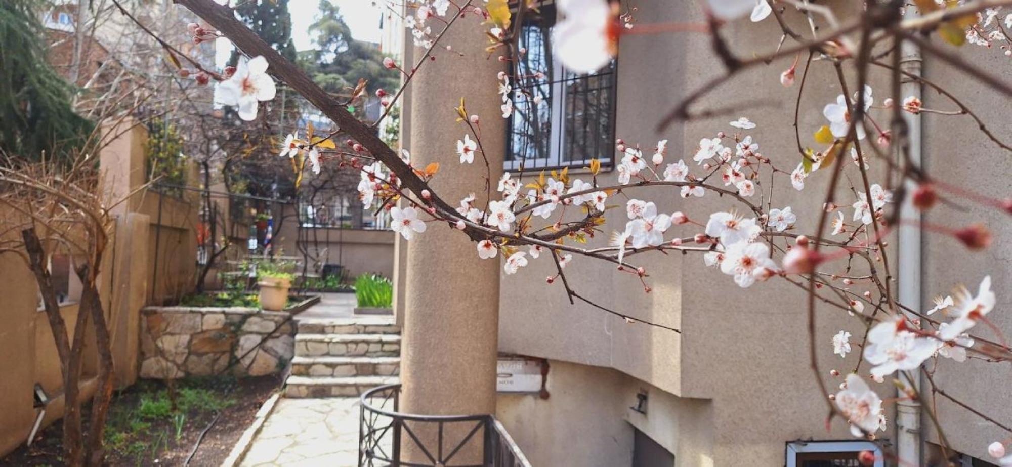 Iliani Hotel Tbilisi Bagian luar foto