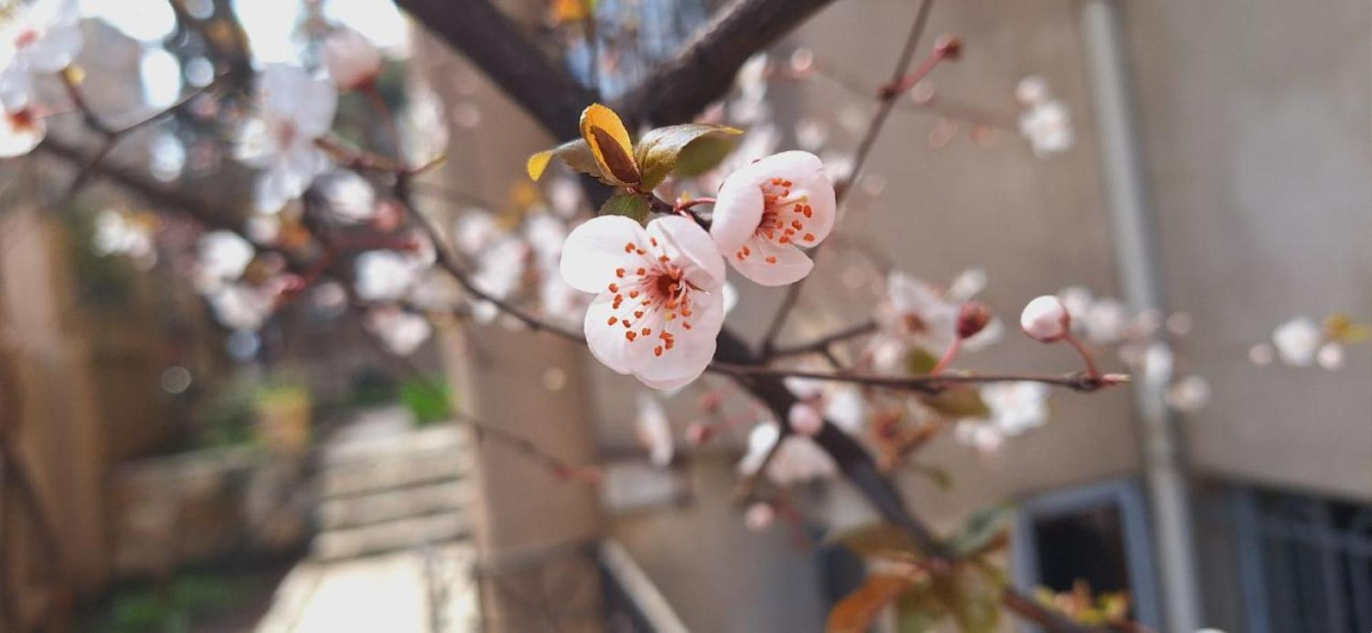 Iliani Hotel Tbilisi Bagian luar foto